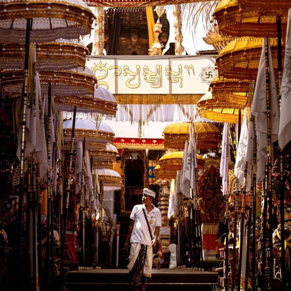 dmitry-voronov-OqpFo0ouzPA-unsplash dmitry-voronov-OqpFo0ouzPA-unsplash