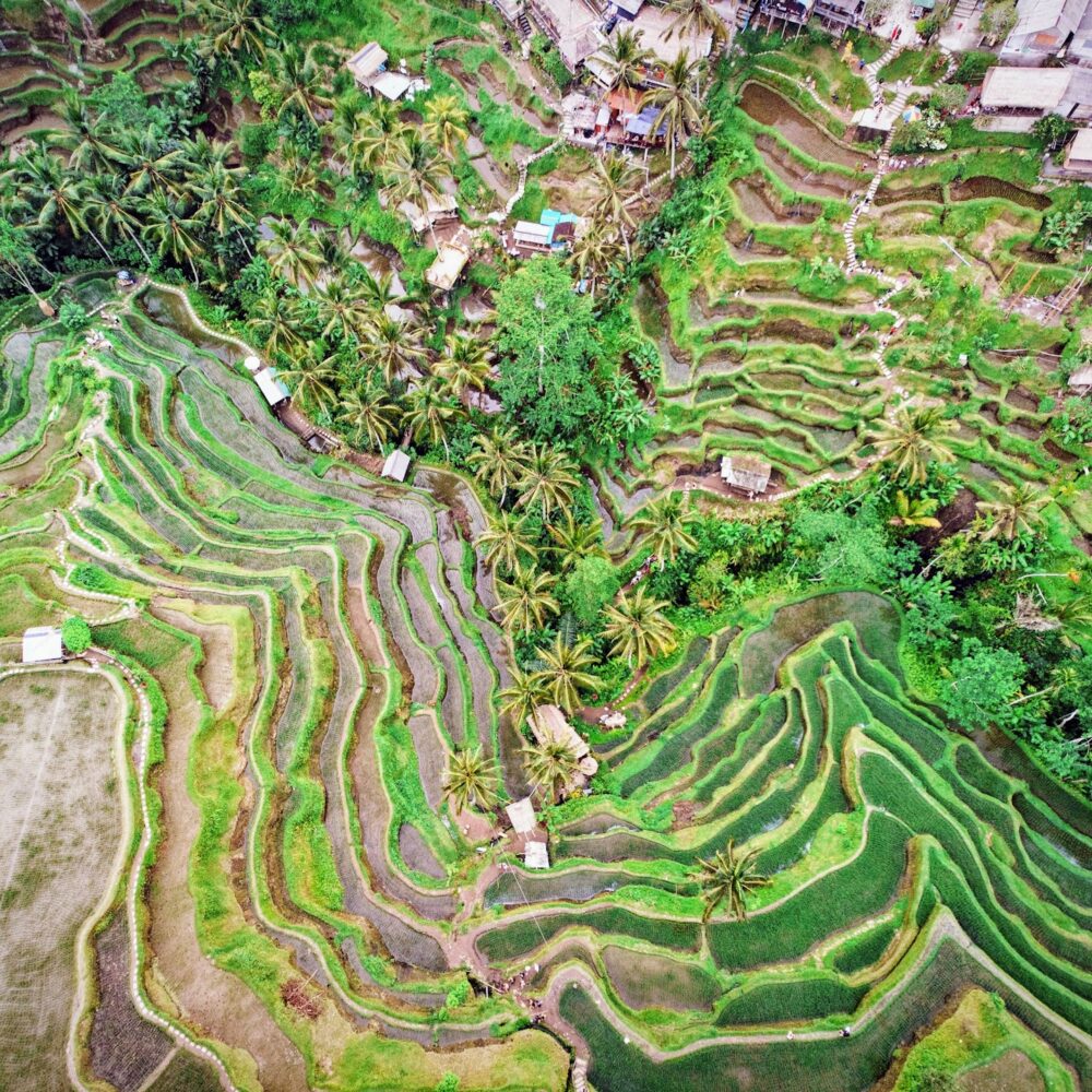 giuliano-di-paolo-BZbN2mRI0fE-unsplash giuliano-di-paolo-BZbN2mRI0fE-unsplash