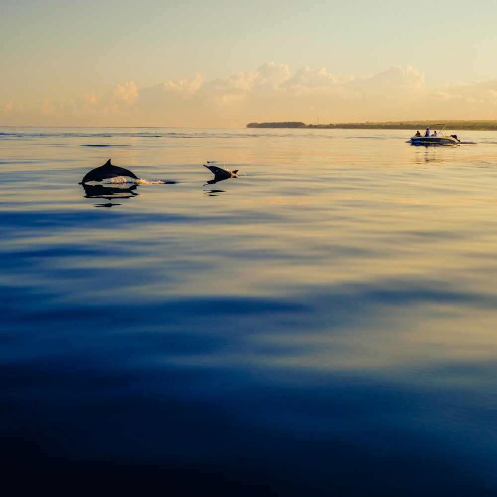 matteo-catanese-gWHmLWmSxIA-unsplash matteo-catanese-gWHmLWmSxIA-unsplash