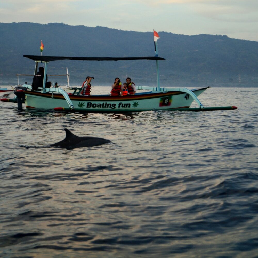 pascal-muller-WDBM22JVApk-unsplash pascal-muller-WDBM22JVApk-unsplash