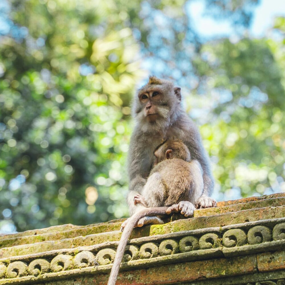 romeo-a-PpHlz_rX328-unsplash romeo-a-PpHlz_rX328-unsplash